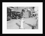 Dog Seated on Fire Hydrant by Anonymous