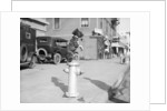 Dog Seated on Fire Hydrant by Anonymous
