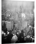 Aerial View of the Woolworth Building in Manhattan by Anonymous