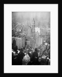 Aerial View of the Woolworth Building in Manhattan by Anonymous