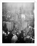 Aerial View of the Woolworth Building in Manhattan by Anonymous