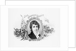 Francis Scott Key by Anonymous