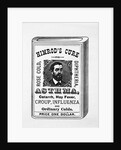 Ad For Himrod'S Cure by Anonymous