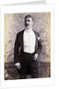The Well Dressed Party Goer Of 1890 by Anonymous