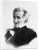 Portrait of Andrew Jackson by Anonymous