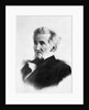 Portrait of Andrew Jackson by Anonymous