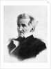 Portrait of Andrew Jackson by Anonymous