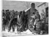 Distributing Supply To Indians; Drawing by Anonymous