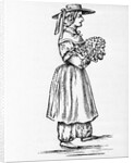 Amelia Bloomer In Cosutme; Bloomers by Anonymous