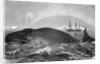 Illustration of Men Attacking Whale with Hand Harpoon by Anonymous