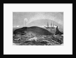 Illustration of Men Attacking Whale with Hand Harpoon by Anonymous