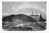 Illustration of Men Attacking Whale with Hand Harpoon by Anonymous