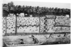 Early American Settlement by Anonymous