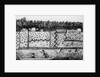 Early American Settlement by Anonymous