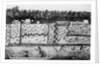 Early American Settlement by Anonymous