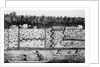 Early American Settlement by Anonymous