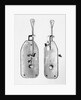 Leeuwenhoek's Original Microscope by Anonymous