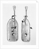 Leeuwenhoek's Original Microscope by Anonymous