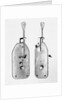 Leeuwenhoek's Original Microscope by Anonymous