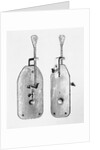 Leeuwenhoek's Original Microscope by Anonymous