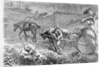 Bringing Tobacco To Market In Virginia by Anonymous