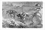 Bringing Tobacco To Market In Virginia by Anonymous