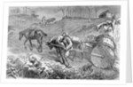 Bringing Tobacco To Market In Virginia by Anonymous