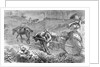 Bringing Tobacco To Market In Virginia by Anonymous
