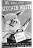 We Want Your Kitchen Waste Poster by Anonymous