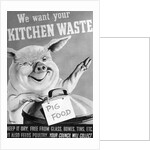 We Want Your Kitchen Waste Poster by Anonymous