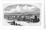 Emigrants On The Way West Pre Civil War by Anonymous