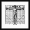 Diagram Of Man'S Proportions; On Graph by Anonymous