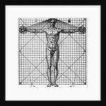 Diagram Of Man'S Proportions; On Graph by Anonymous