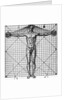 Diagram Of Man'S Proportions; On Graph by Anonymous