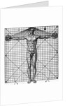 Diagram Of Man'S Proportions; On Graph by Anonymous