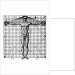 Diagram Of Man'S Proportions; On Graph by Anonymous