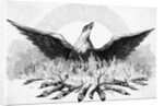 Engraving of Phoenix Rising from Flames by Anonymous