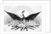 Engraving of Phoenix Rising from Flames by Anonymous