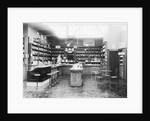 Soda Fountain in Drug Store by Anonymous