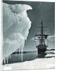 Terra Nova at Cape Evans by Anonymous