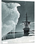 Terra Nova at Cape Evans by Anonymous