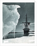 Terra Nova at Cape Evans by Anonymous