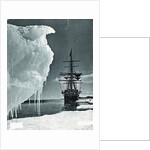 Terra Nova at Cape Evans by Anonymous