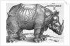 Rhinoceros by Albrecht Dürer