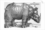 Rhinoceros by Albrecht Dürer