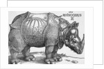 Rhinoceros by Albrecht Dürer