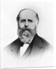 Head And Shoulder Of R.H. Macy by Anonymous