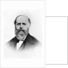 Head And Shoulder Of R.H. Macy by Anonymous
