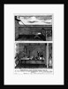 Experiment Showing Animal Magnetism by Anonymous