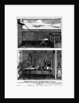 Experiment Showing Animal Magnetism by Anonymous